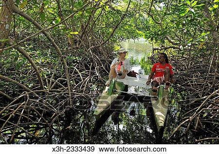 pedalboat trip around the mangrove swamp, Grand Cul-de-sac Marin, Vieux-Bourg, Morne-a-l'eau, Grande-Terre, Guadeloupe, overseas region of France, Leewards Islands, Lesser Antilles, Caribbean. View Large Photo Image Stock Photo - pedalboat trip around the mangrove swamp, Grand Cul-de-sac Marin, Vieux-Bourg, Morne-a-l'eau, Grande-Terre, Guadeloupe, overseas region of France, Leewards Islands, Lesser Antilles, Caribbean.. Fotosearch