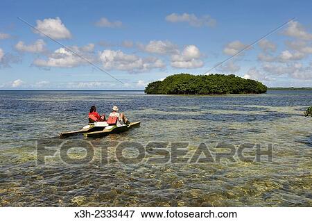 pedalboat trip around the mangrove swamp, Grand Cul-de-sac Marin, Vieux-Bourg, Morne-a-l'eau, Grande-Terre, Guadeloupe, overseas region of France, Leewards Islands, Lesser Antilles, Caribbean. View Large Photo Image Stock Photo - pedalboat trip around the mangrove swamp, Grand Cul-de-sac Marin, Vieux-Bourg, Morne-a-l'eau, Grande-Terre, Guadeloupe, overseas region of France, Leewards Islands, Lesser Antilles, Caribbean.. Fotosearch
