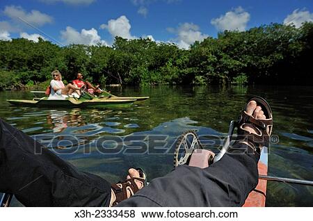 Stock Photo - pedalboat trip around the mangrove swamp, Grand Cul-de-sac Marin, Vieux-Bourg, Morne-a-l'eau, Grande-Terre, Guadeloupe, overseas region of France, Leewards Islands, Lesser Antilles, Caribbean.. Fotosearch