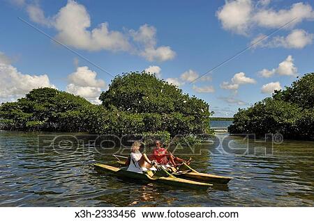 Stock Photograph - pedalboat trip around the mangrove swamp, Grand Cul-de-sac Marin, Vieux-Bourg, Morne-a-l'eau, Grande-Terre, Guadeloupe, overseas region of France, Leewards Islands, Lesser Antilles, Caribbean.. Fotosearch