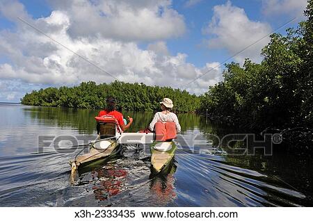 pedalboat trip around the mangrove swamp, Grand Cul-de-sac Marin, Vieux-Bourg, Morne-a-l'eau, Grande-Terre, Guadeloupe, overseas region of France, Leewards Islands, Lesser Antilles, Caribbean. View Large Photo Image Stock Photography - pedalboat trip around the mangrove swamp, Grand Cul-de-sac Marin, Vieux-Bourg, Morne-a-l'eau, Grande-Terre, Guadeloupe, overseas region of France, Leewards Islands, Lesser Antilles, Caribbean.. Fotosearch