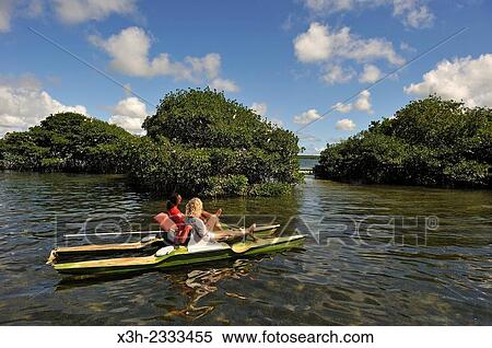 Stock Photography - pedalboat trip around the mangrove swamp, Grand Cul-de-sac Marin, Vieux-Bourg, Morne-a-l'eau, Grande-Terre, Guadeloupe, overseas region of France, Leewards Islands, Lesser Antilles, Caribbean.. Fotosearch
