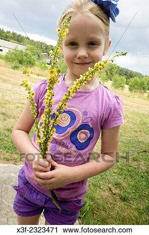Polish girl age 6 holding a bouquet of probable agrimony flowers growing wild near her home. Zawady Central Poland. View Large Photo Image Stock Image - Polish girl age 6 holding a bouquet of probable agrimony flowers growing wild near her home. Zawady Central Poland.. Fotosearch