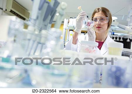 Researcher. Microbiology lab. Chemical Analysis Laboratory. Technological Services to Industry. Tecnalia Research & Innovation, Donostia, San Sebastian, Gipuzkoa, Basque Country, Spain. View Large Photo Image Picture - Researcher. Microbiology lab. Chemical Analysis Laboratory. Technological Services to Industry. Tecnalia Research & Innovation, Donostia, San Sebastian, Gipuzkoa, Basque Country, Spain.. Fotosearch