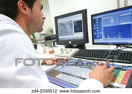 Researcher. SEM. Scanning Electronic Microscope. Technological Services to Industry. Tecnalia Research & Innovation, Donostia, San Sebastian, Gipuzkoa, Basque Country, Spain. View Large Photo Image Stock Image - Researcher. SEM. Scanning Electronic Microscope. Technological Services to Industry. Tecnalia Research & Innovation, Donostia, San Sebastian, Gipuzkoa, Basque Country, Spain.. Fotosearch