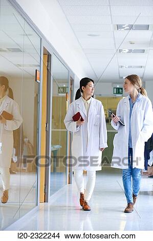 Picture - Researchers walking in hallway laboratory. Chemical Analysis Laboratory. Technological Services to Industry. Tecnalia Research & Innovation, Donostia, San Sebastian, Gipuzkoa, Basque Country, Spain.. Fotosearch