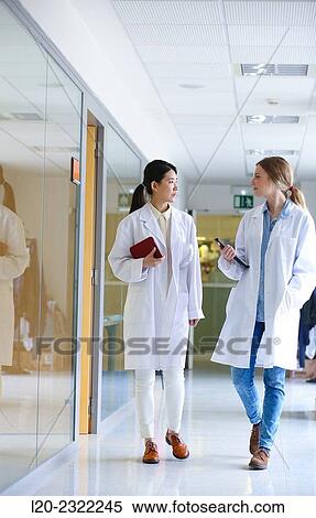 Researchers walking in hallway laboratory. Chemical Analysis Laboratory. Technological Services to Industry. Tecnalia Research & Innovation, Donostia, San Sebastian, Gipuzkoa, Basque Country, Spain. View Large Photo Image Stock Photography - Researchers walking in hallway laboratory. Chemical Analysis Laboratory. Technological Services to Industry. Tecnalia Research & Innovation, Donostia, San Sebastian, Gipuzkoa, Basque Country, Spain.. Fotosearch