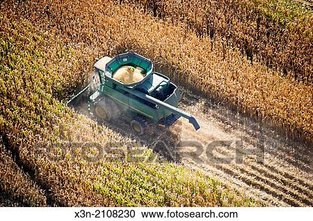 Aerial of harvesting corn in Centerville MD. View Large Photo Image Stock Image - Aerial of harvesting corn in Centerville MD.. Fotosearch