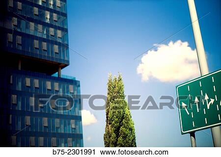 Apartment building of modern architecture painted in blue, with a cypress and traffic signal announcing various ways in Tel Aviv, Israel, Middle East View Large Photo Image Stock Image - Apartment building of modern architecture painted in blue, with a cypress and traffic signal announcing various ways in Tel Aviv, Israel, Middle East. Fotosearch