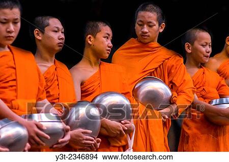 Asia. Thailand, Chiang Mai. Young Buddhist monks on their morning procession for offerings of food near a monastery in the Huay Kaew area. View Large Photo Image Picture - Asia. Thailand, Chiang Mai. Young Buddhist monks on their morning procession for offerings of food near a monastery in the Huay Kaew area.. Fotosearch