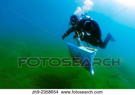 Picture - Assistant artist swims with the picture painted by the water, the artist Underwater artist Yuriy Alexeev (Yuri Alekseev). Lake Baikal, Listvyanka, Irkutsky District, Irkutsk Oblast, Siberia, Russia, Eurasia.. Fotosearch