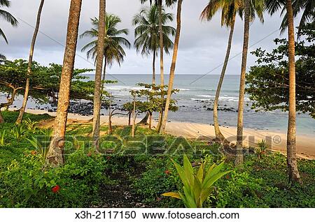 beach of the small Rolas turtledove island in the south of Sao Tome Island, Republic of Sao Tome and Principe, Africa. View Large Photo Image Stock Image - beach of the small Rolas turtledove island in the south of Sao Tome Island, Republic of Sao Tome and Principe, Africa.. Fotosearch
