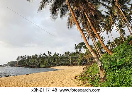 beach of the small Rolas turtledove island in the south of Sao Tome Island, Republic of Sao Tome and Principe, Africa. View Large Photo Image Stock Photo - beach of the small Rolas turtledove island in the south of Sao Tome Island, Republic of Sao Tome and Principe, Africa.. Fotosearch