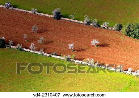 Beautiful colors. Aerial view of Mallorca lands, Balearic Island, Spain. View Large Photo Image Stock Photo - Beautiful colors. Aerial view of Mallorca lands, Balearic Island, Spain.. Fotosearch