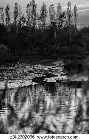 Black and white marsh landscape, Txingudi, Hondarribia, Guipuzcoa, Basque Country, Spain View Large Photo Image Stock Photograph - Black and white marsh landscape, Txingudi, Hondarribia, Guipuzcoa, Basque Country, Spain. Fotosearch