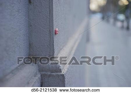 Stock Photo - Chewing gum in a wall, Valencia, Spain.. Fotosearch