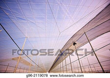 detail of a greenhouse top. View Large Photo Image Stock Photo - detail of a greenhouse top.. Fotosearch