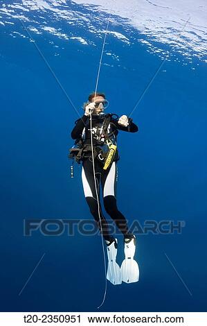Diver doing Safety Stop, Kai Islands, Moluccas, Indonesia. View Large Photo Image Stock Image - Diver doing Safety Stop, Kai Islands, Moluccas, Indonesia.. Fotosearch