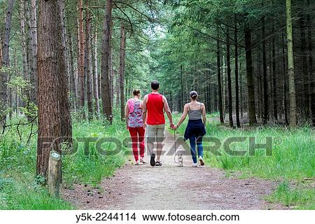 Estate De Utrecht, Reusel, Netherlands. Three people, and their little dog hiking though the forest and estate of The Utrecht on their day off. View Large Photo Image Picture - Estate De Utrecht, Reusel, Netherlands. Three people, and their little dog hiking though the forest and estate of The Utrecht on their day off.. Fotosearch