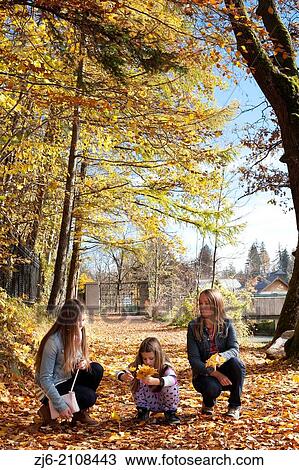 Family collecting fallen autumn leaves. View Large Photo Image Stock Image - Family collecting fallen autumn leaves.. Fotosearch
