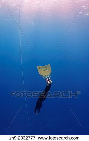 Freediving in Red Sea, Egypt. View Large Photo Image Stock Photo - Freediving in Red Sea, Egypt.. Fotosearch