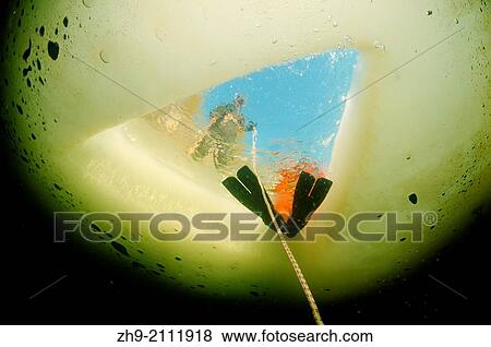 ice diving, Arctic, Russia, Russian north, Kareliya, White sea. View Large Photo Image Stock Photo - ice diving, Arctic, Russia, Russian north, Kareliya, White sea.. Fotosearch