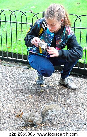 LONDON UK-OCTOBER 12, 2013: Girl and squirrel in Hyde park London. View Large Photo Image Stock Photography - LONDON UK-OCTOBER 12, 2013: Girl and squirrel in Hyde park London.. Fotosearch