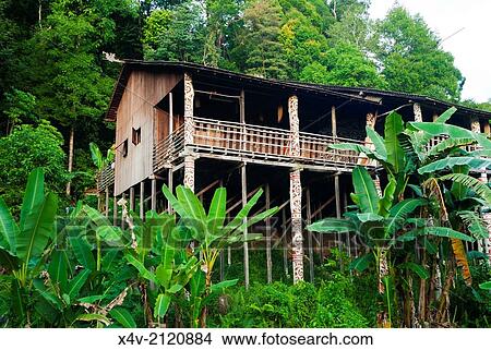 Picture - Longhouse, Rainforest World Music Festival in Kuching, Kuching, Sarawak, Malaysian Borneo, Malaysia, Southeast Asia, Asia,.. Fotosearch