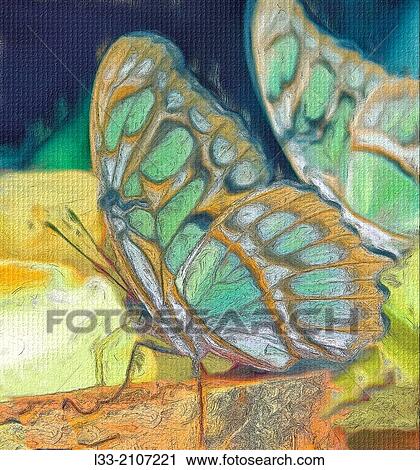 Stock Image - Malachite butterfly feeding, oil painting effect, digital art. Fotosearch