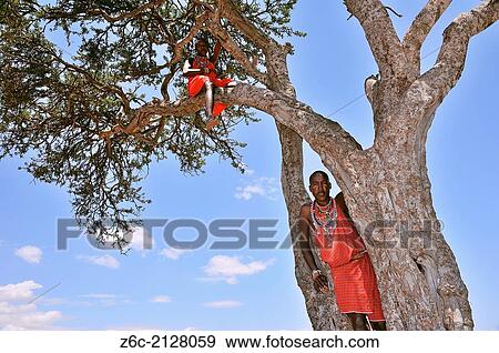 Massai on their lookout, Masai Mara, Kenya. View Large Photo Image Stock Photo - Massai on their lookout, Masai Mara, Kenya.. Fotosearch