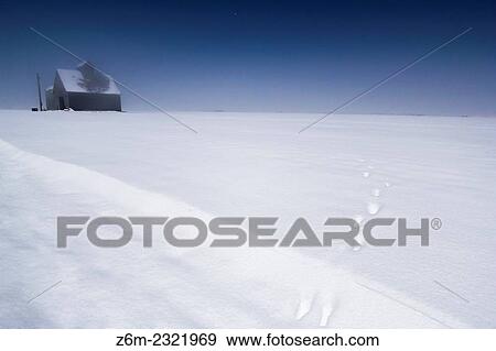 Stock Photo - Moon lights a foggy winter scene over western Iowa.. Fotosearch