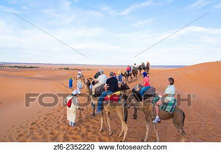 Morocco Sahara Desert sand dunes in Las Palmeras area with tourists riding camels on peaks and sand. View Large Photo Image Stock Image - Morocco Sahara Desert sand dunes in Las Palmeras area with tourists riding camels on peaks and sand.. Fotosearch