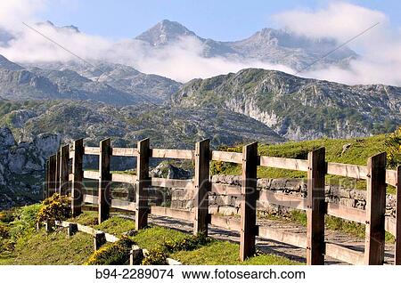 Picos de Europa National Park. Covadonga Lakes area. Cangas de Onis Council. Principaly of Asturias. Spain. View Large Photo Image Picture - Picos de Europa National Park. Covadonga Lakes area. Cangas de Onis Council. Principaly of Asturias. Spain.. Fotosearch