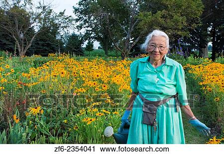 Plain City Ohio 89 year old Amish Great Grandmother watering her flowers in garden in Midwest USA in dress and smile. View Large Photo Image Stock Image - Plain City Ohio 89 year old Amish Great Grandmother watering her flowers in garden in Midwest USA in dress and smile.. Fotosearch