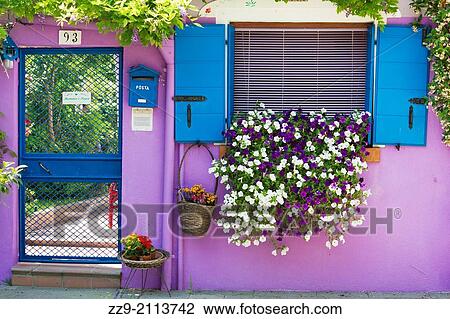 Stock Image - Purple wall decorated with flowers and plants, Burano, Venice, Italy. Fotosearch
