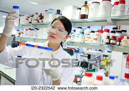 Stock Image - Researcher. Biological test laboratory. Chemical Analysis Laboratory. Technological Services to Industry. Tecnalia Research and Innovation, Donostia, San Sebastian, Gipuzkoa, Basque Country, Spain.. Fotosearch