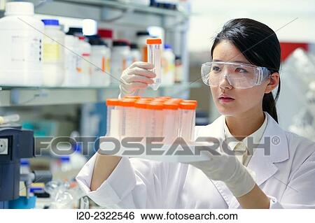 Stock Photograph - Researcher. Biological test laboratory. Chemical Analysis Laboratory. Technological Services to Industry. Tecnalia Research and Innovation, Donostia, San Sebastian, Gipuzkoa, Basque Country, Spain.. Fotosearch