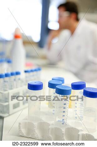 Researcher. Organic lab. Chemical Analysis Laboratory. Technological Services to Industry. Tecnalia Research and Innovation, Donostia, San Sebastian, Gipuzkoa, Basque Country, Spain View Large Photo Image Stock Photo - Researcher. Organic lab. Chemical Analysis Laboratory. Technological Services to Industry. Tecnalia Research and Innovation, Donostia, San Sebastian, Gipuzkoa, Basque Country, Spain. Fotosearch
