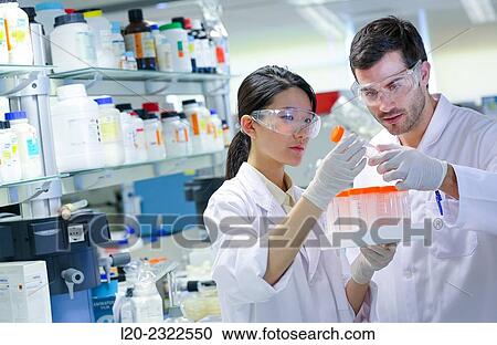 Stock Image - Researchers. Biological test laboratory. Chemical Analysis Laboratory. Technological Services to Industry. Tecnalia Research and Innovation, Donostia, San Sebastian, Gipuzkoa, Basque Country, Spain.. Fotosearch