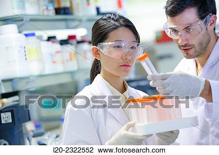 Researchers. Biological test laboratory. Chemical Analysis Laboratory. Technological Services to Industry. Tecnalia Research and Innovation, Donostia, San Sebastian, Gipuzkoa, Basque Country, Spain. View Large Photo Image Stock Image - Researchers. Biological test laboratory. Chemical Analysis Laboratory. Technological Services to Industry. Tecnalia Research and Innovation, Donostia, San Sebastian, Gipuzkoa, Basque Country, Spain.. Fotosearch