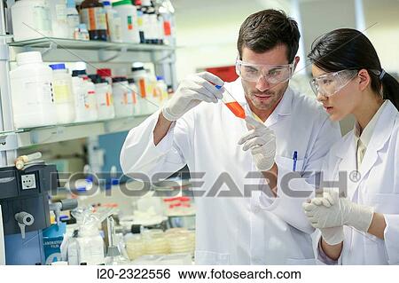Stock Photograph - Researchers. Biological test laboratory. Chemical Analysis Laboratory. Technological Services to Industry. Tecnalia Research and Innovation, Donostia, San Sebastian, Gipuzkoa, Basque Country, Spain.. Fotosearch