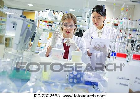 Researchers. Microbiology lab. Chemical Analysis Laboratory. Technological Services to Industry. Tecnalia Research and Innovation, Donostia, San Sebastian, Gipuzkoa, Basque Country, Spain View Large Photo Image Stock Photo - Researchers. Microbiology lab. Chemical Analysis Laboratory. Technological Services to Industry. Tecnalia Research and Innovation, Donostia, San Sebastian, Gipuzkoa, Basque Country, Spain. Fotosearch
