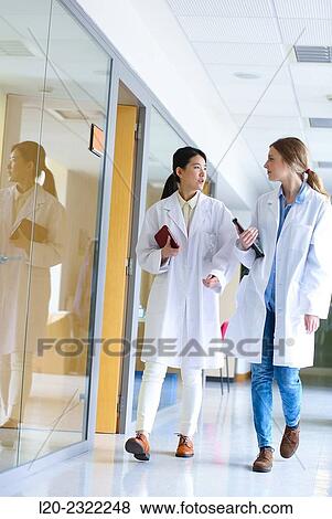 Stock Photo - Researchers walking in hallway laboratory. Chemical Analysis Laboratory. Technological Services to Industry. Tecnalia Research and Innovation, Donostia, San Sebastian, Gipuzkoa, Basque Country, Spain.. Fotosearch