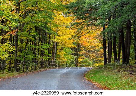 Road curving though fall colors in woods in Chestnut Ridge Park in New York State. View Large Photo Image Stock Photo - Road curving though fall colors in woods in Chestnut Ridge Park in New York State.. Fotosearch