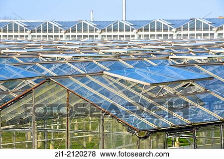 Stock Photo - rooftops of glass warehouses in Westland, the Netherlands. Fotosearch