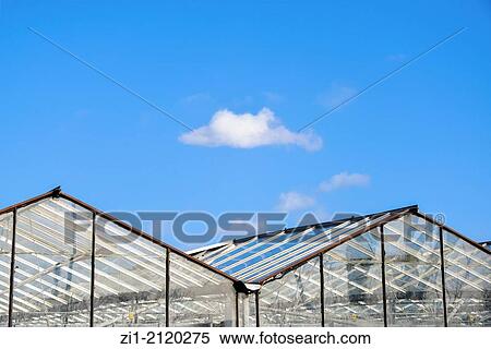 rooftops of glass warehouses in Westland, the Netherlands View Large Photo Image Stock Photography - rooftops of glass warehouses in Westland, the Netherlands. Fotosearch