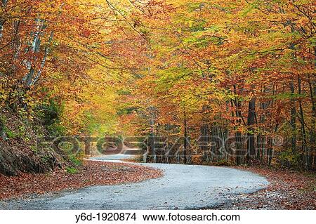 Picture - Scenic Mountain Road, Rila Mountains, Bulgaria. Fotosearch