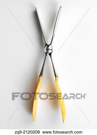 Silver serving tongs View Large Photo Image Stock Photo - Silver serving tongs. Fotosearch