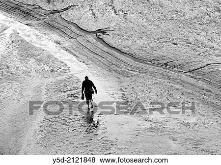 single man walking barefoot in shallow seawater of Mont Saint-Michel bay at low tide, Mont Saint-Michel, Normandy, France. View Large Photo Image Stock Photo - single man walking barefoot in shallow seawater of Mont Saint-Michel bay at low tide, Mont Saint-Michel, Normandy, France.. Fotosearch