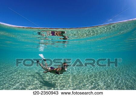 Snorkeling in Lagoon, Fadol, Kai Islands, Moluccas, Indonesia. View Large Photo Image Stock Image - Snorkeling in Lagoon, Fadol, Kai Islands, Moluccas, Indonesia.. Fotosearch